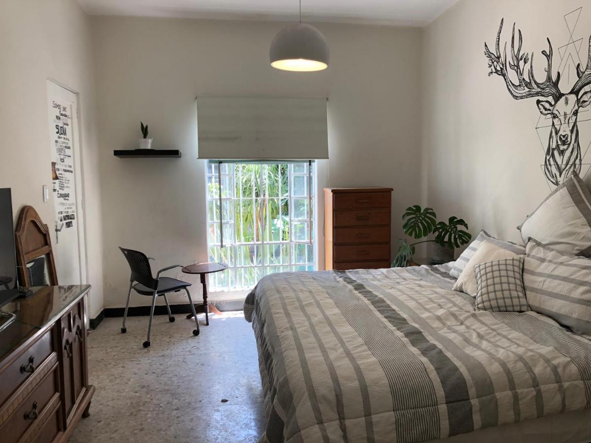 Casa Amores Apartment Мексико Сити Екстериор снимка